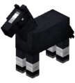 Black Horse (5D).png